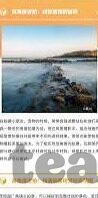 俄罗斯世界杯栽判组-俄罗斯世界杯裁判组，公正与专业的典范