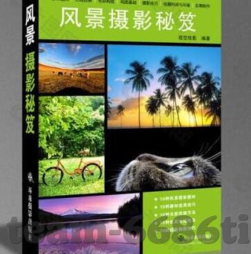 直播比分足球比分-直播比分，足球世界的实时脉搏，激情与策略的双重盛宴